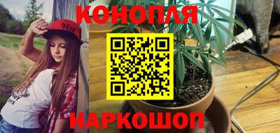 тгк Пенза