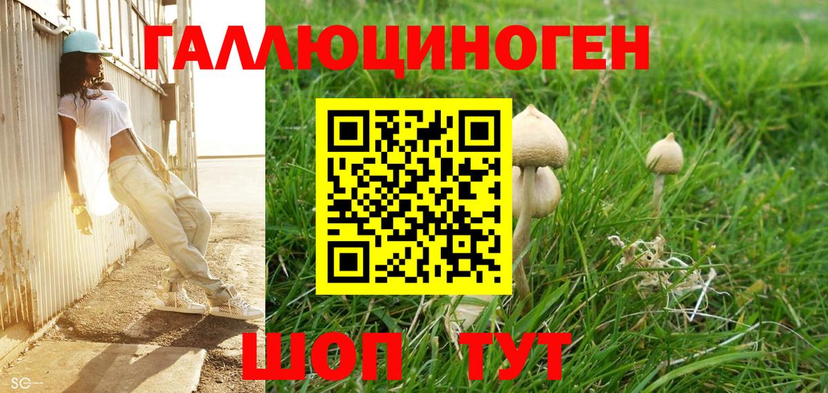 Псилоцибиновые грибы GOLDEN TEACHER Сыктывкар