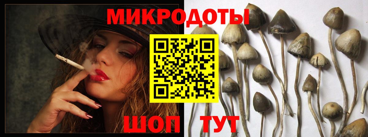 Сыктывкар  где купить наркоту  Вход с VPN  Псилоцибиновые грибы мицелий 